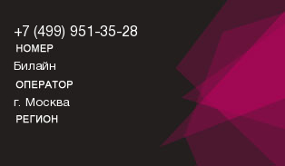 4999513528
